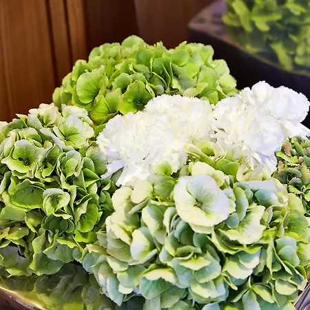 Angela Hotel Mayrhofen