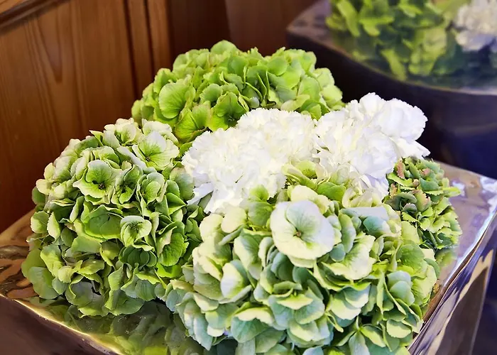 Angela מלון מאיירהופן